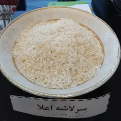 سرلاشه اعلاء شمال – کشت و صنعت تن تنانی – ده کیلویی