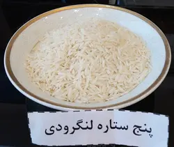طارم لنگرودی پنج ستاره – ده کیلویی