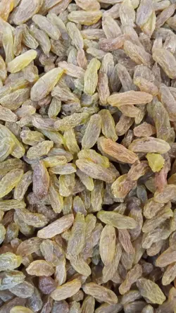 کشمش سبز درجه یک اعلا بسته نیم کیلوگرمی