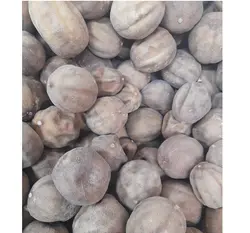 لیموعمانی درجه یک اعلا بسته نیم کیلوگرم