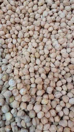 نخود کرمانشاهی درجه یک اعلا بسته نیم کیلوگرمی