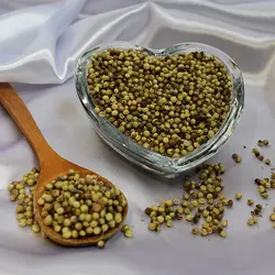 تخم گشنیز