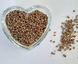 سماق نسابیده