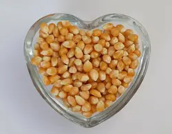 ذرت