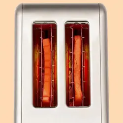 توستر درما مدل DEM-SL281