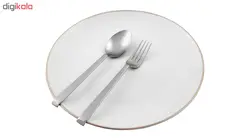 سرویس 12 نفره قاشق و چنگال 113 پارچه سولایتر مدل italy13