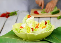 کاسه سالاد 25 سرامیک رنگی میلاگرو کد 1021 (فروش عمده) : آسون بخر  بدون دسته‌بندی محصول