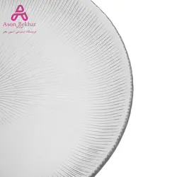 دیس نوری تازه مدل سولو کد t231031T بسته 2 عددی