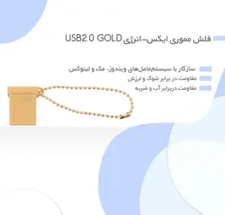 فلش مموری ایکس-انرژی مدل USB2.0 Gold ظرفیت ۳۲ گیگابایت