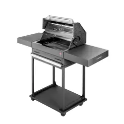 باربیکیو ذغالی آتشدان ۱۰۰