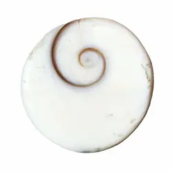 نگین صدف مهره مار طبیعی کیفیت بالا با رگه های منحصر به فرد وزن حدود 3.5 گرم