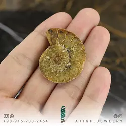 فسیل آمونیت طبیعی کلکسیونی (شاخ قوچی) منحصر به فرد با نقوش زیبا درشت رنگ خاص دکوری- سنگ درمانی