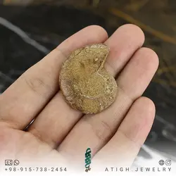 فسیل آمونیت طبیعی کلکسیونی (شاخ قوچی) منحصر به فرد با نقوش زیبا درشت رنگ خاص دکوری- سنگ درمانی