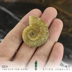 فسیل آمونیت (شاخ قوچی) طبیعی کلکسیونی منحصر به فرد با نقوش زیبا رنگ خاص دکوری- سنگ درمانی