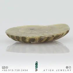 فسیل آمونیت (شاخ قوچی) طبیعی کلکسیونی منحصر به فرد با نقوش زیبا رنگ خاص دکوری- سنگ درمانی