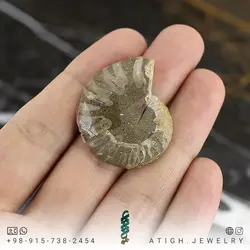 فسیل آمونیت (شاخ قوچی) طبیعی کلکسیونی منحصر به فرد با نقوش زیبا رنگ خاص دکوری- سنگ درمانی