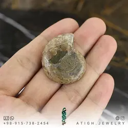 فسیل آمونیت (شاخ قوچی) طبیعی منحصر به فرد با نقش و نگار بسیار زیبا درشت رنگ خاص دکوری- سنگ درمانی کلکسیونی