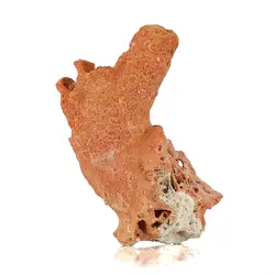 سنگ راف مرجان شاخه ای گلبهی بسیار خوشرنگ صددرصد طبیعی دکوری- سنگ درمانی وزن حدود 30 گرم