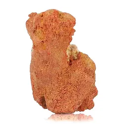 سنگ راف مرجان شاخه ای گلبهی بسیار خوشرنگ صددرصد طبیعی دکوری- سنگ درمانی وزن حدود 35 گرم