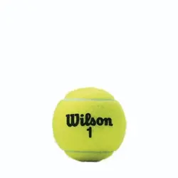 توپ تنیس مدل Championship Tennis Balls - 3 Ball Can