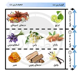 ادوپرفیوم مردانه پاکوراکا هات سنس حجم 100 میلی‌لیتر