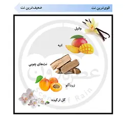تستر ادوپرفیوم زنانه یودی‌وی مینی وانیل حجم 25 میلی‌لیتر