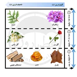 تستر ادوپرفیوم مردانه پاکوراکا هات سنس گلد حجم 100 میلی‌لیتر