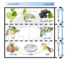 تستر ادوپرفیوم زنانه زیفوید ولوت گلد حجم ۱۰۰ میلی‌لیتر