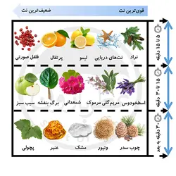 تستر ادوتویلت مردانه پینو سیلوستره آکوا دی پینو فوژه حجم 125 میلی‌لیتر