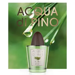 تستر ادوتویلت مردانه پینو سیلوستره آکوا دی پینو فوژه حجم 125 میلی‌لیتر