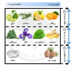 تستر ادوتویلت مردانه پینو سیلوستره آکوا دی پینو کلن حجم 125 میلی‌لیتر