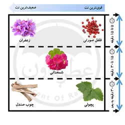 ادوپرفیوم مردانه سنتودیو پیانو حجم 100 میلی‌لیتر