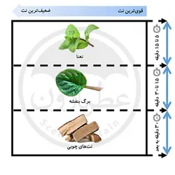 ادوپرفیوم مردانه ورسای کرون من حجم 100 میلی‌لیتر