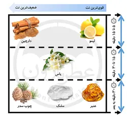 تستر ادوپرفیوم مردانه زیفوید سیلور اکستریم حجم ۱۰۰ میلی‌لیتر