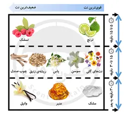 عطر بدن زنانه عمادآرا لجند حجم 250 میلی‌لیتر