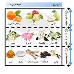 ادوپرفیوم زنانه ورسای رد ادن حجم 100 میلی‌لیتر