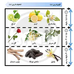 ادوپرفیوم زنانه ورسای فایر گرل حجم 100 میلی‌لیتر