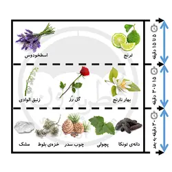 ادوتویلت مردانه ژاک بوگارت پور هوم حجم 100 میلی‌لیتر