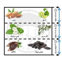 ادوپرفیوم زنانه رپلیکا کلاب (کارولینا هررا گود گرل) حجم 100 میلی‌لیتر