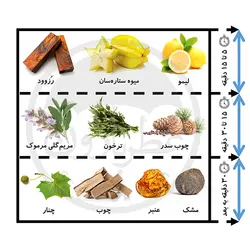 تستر ادوتویلت مردانه ورساچه او فرش حجم 100 میلی‌لیتر -