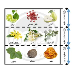 ادوپرفیوم زنانه جرج رچ فرنچ استوری حجم 100 میلی‌لیتر -