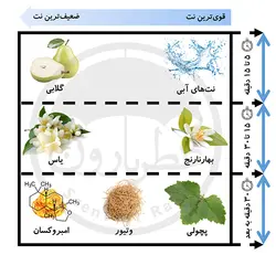 تستر ادوپرفیوم زنانه ورسای سموآ پینک مون حجم 100 میلی‌لیتر