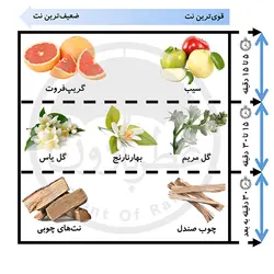 تستر ادوپرفیوم زنانه فراست روبی حجم 100 میلی‌لیتر