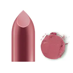 رژ لب جامد ضدآفتاب این لی شماره SC570