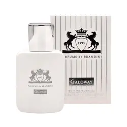 عطر جیبی برندینی زنانه و مردانه گالووی Galoway