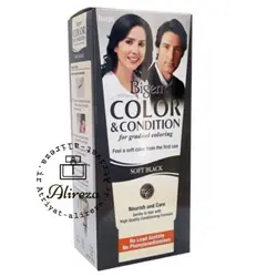 کیت رنگ مو بیگن سری Soft Black حجم 180 میل - رنگ دودی