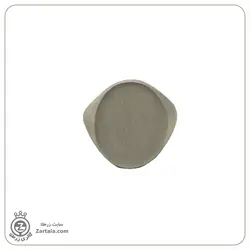 خرید انگشتر نقره سیگنت مردانه طرح بیضی | گالری زرطلا