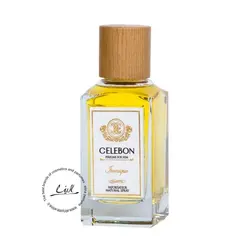 سله بن عطر ادکلن مردانه مدل Iconique