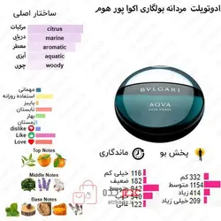 بادی اسپلش وود لایک بولگاری آکوا  woodlike bulgari aqua حجم 250 میل