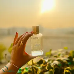 ادوپرفیوم فلور نارکوتیک زنانه مدل ای ایکس نیهیلو حجم 100 میل